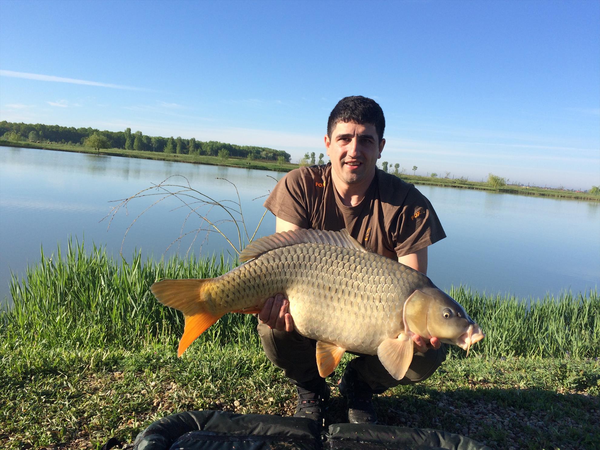 Balta mobydick dorlot - image11111111.jpg